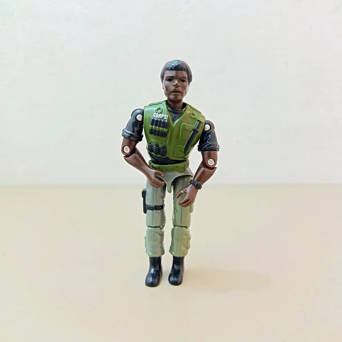 FIGURA LANARD
