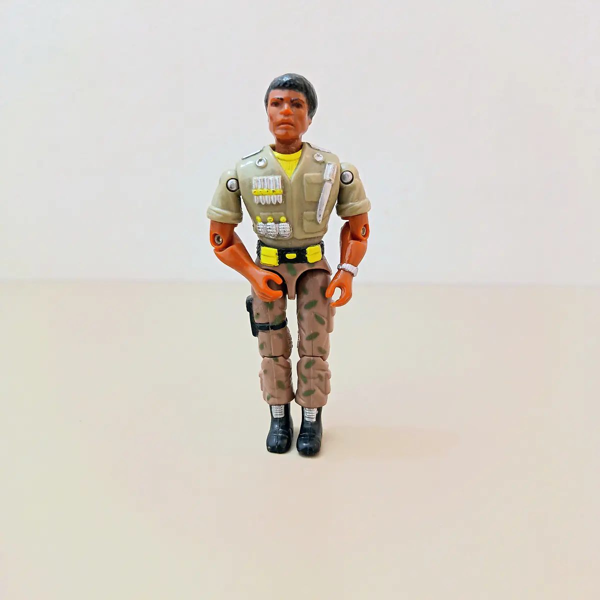 FIGURA LANARD