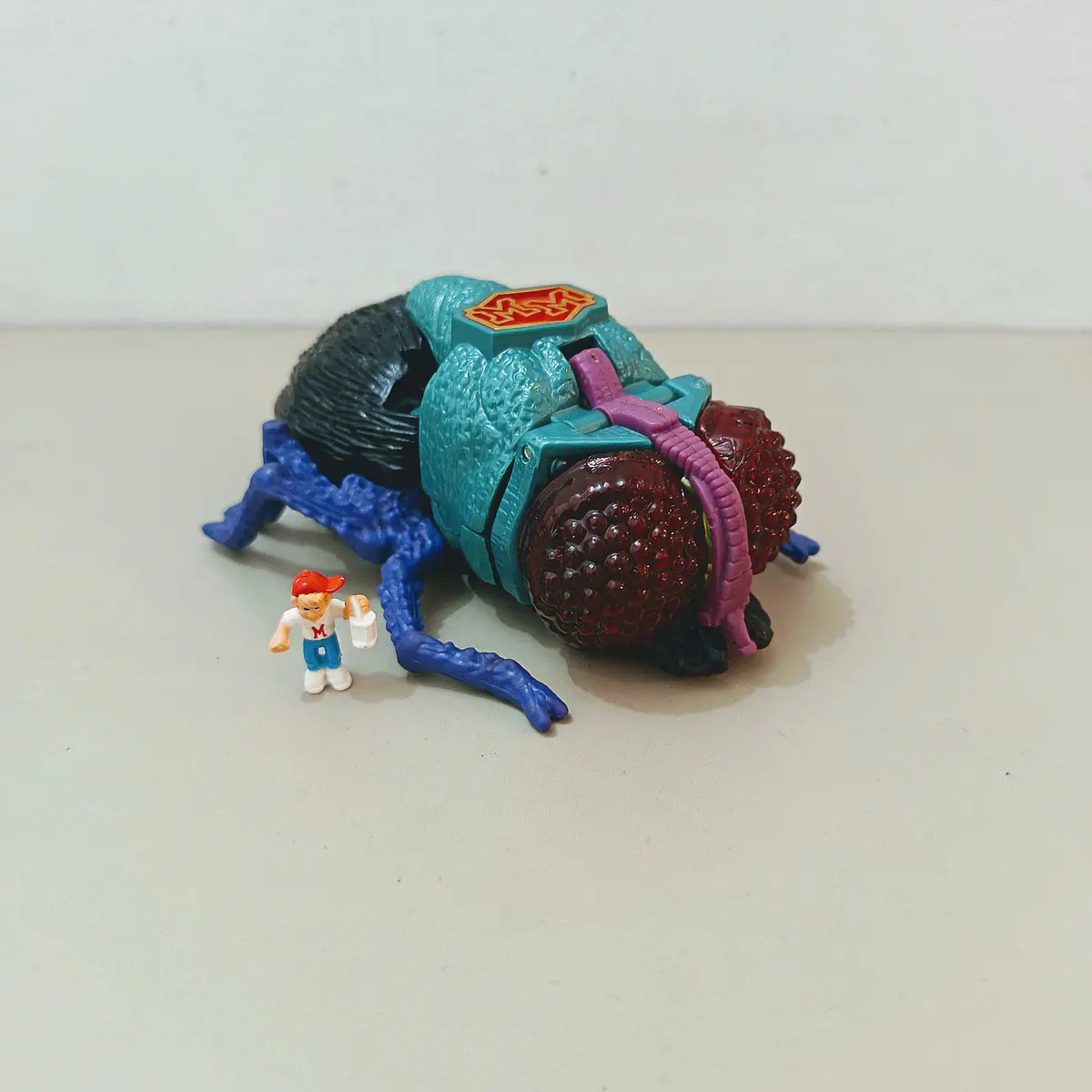 SQUISHES THE FLY