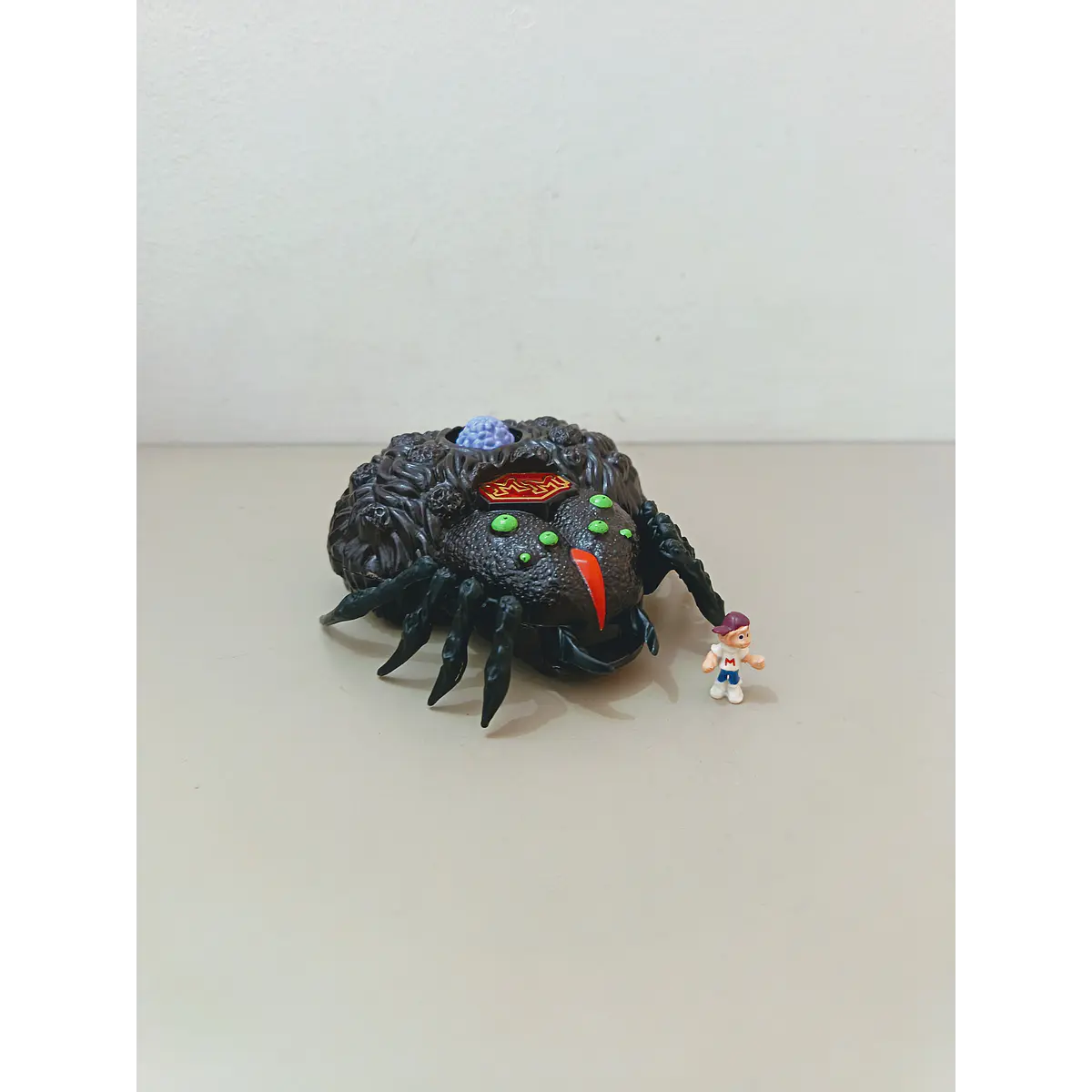 ARACHNOID