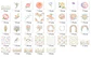 Kit Digital Floral Aquarela - Thumbnail 2