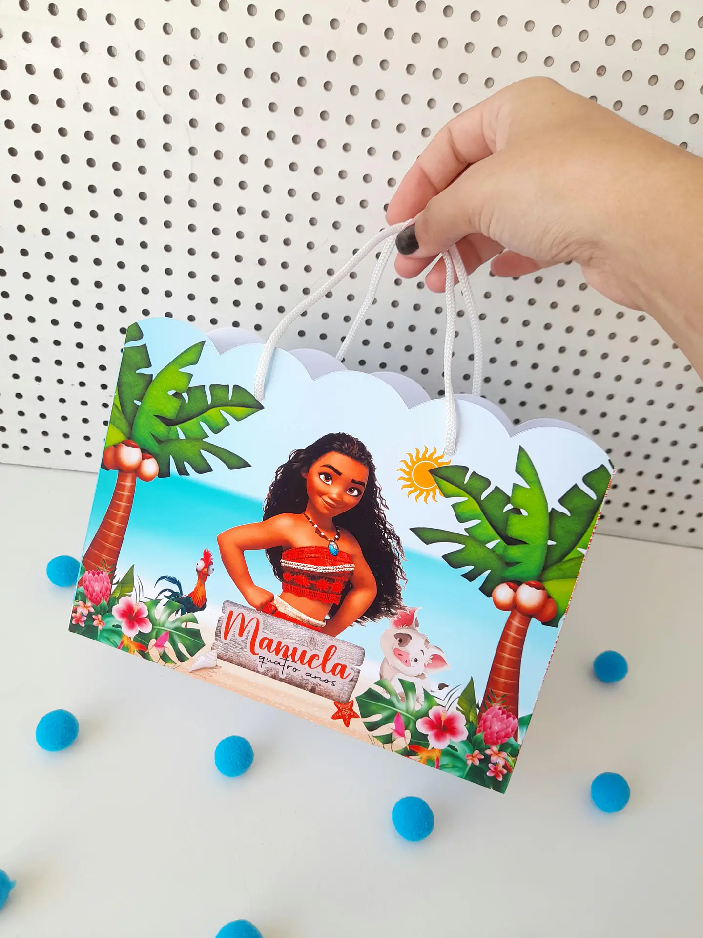 Arquivo Sacolinha Moana 1