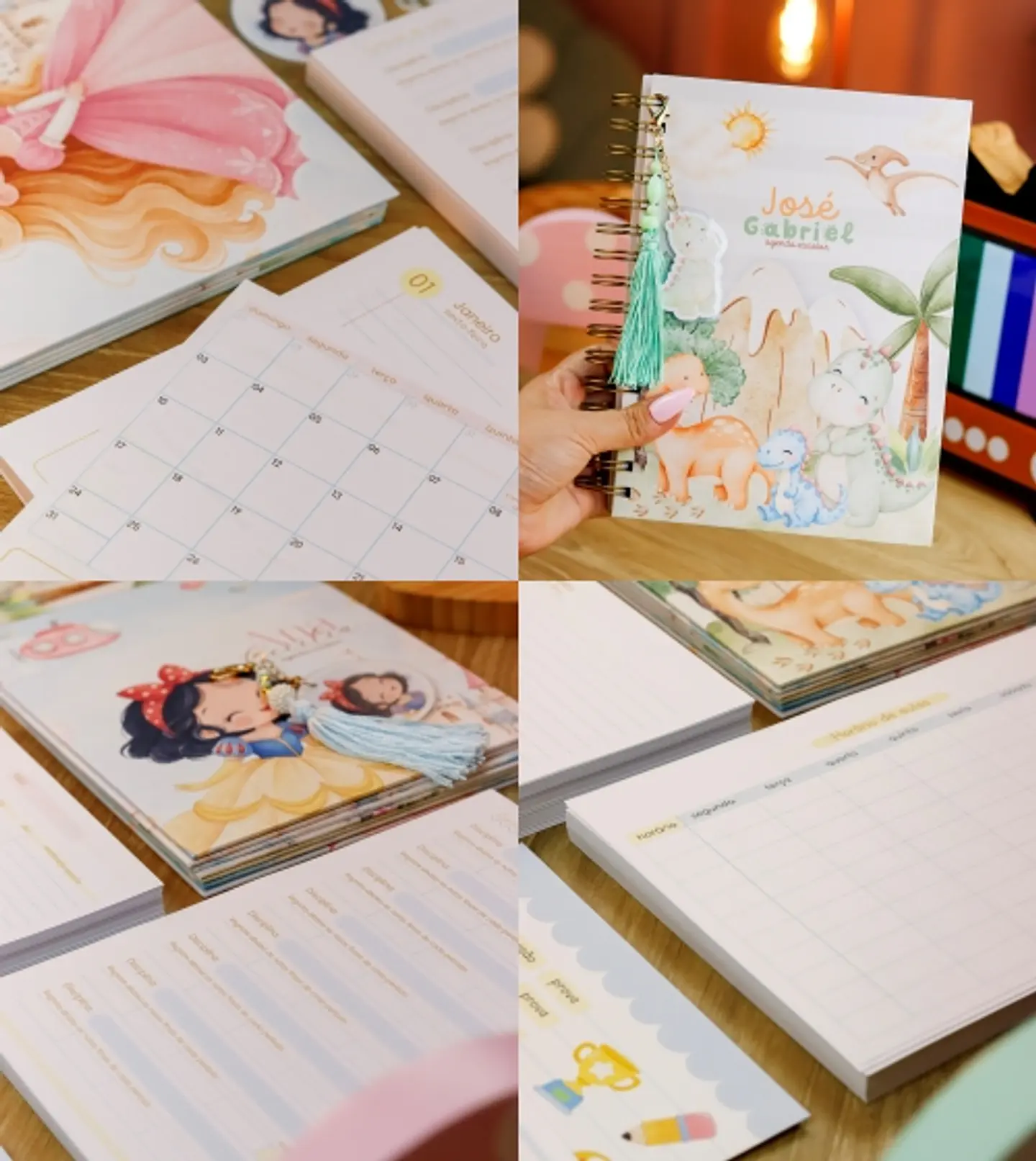 Arquivo Combo Agendas Escolares 2027 5