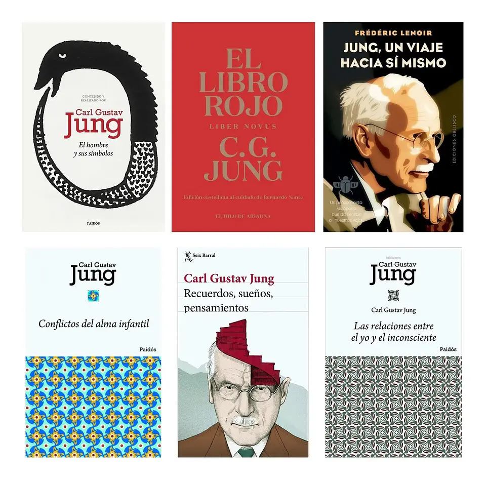 Pack Libros Carl Gustav Jung ( 6 Libros ) 1