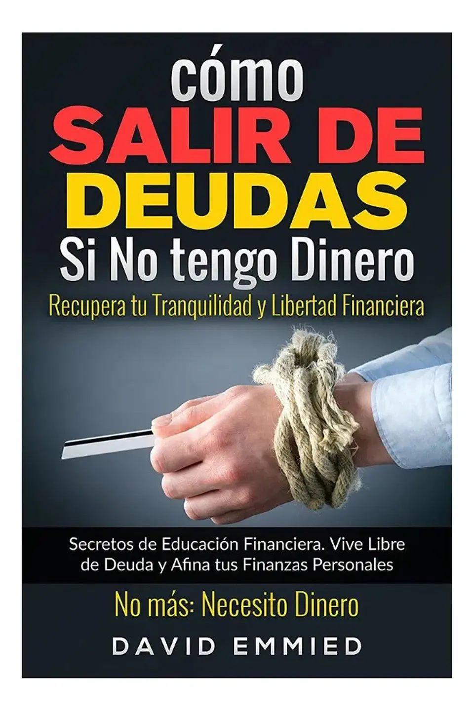 Cómo Salir de Deudas Si No Tengo Dinero - David Emmied 1