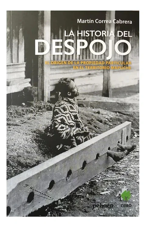 La Historia del Despojo - Martín Correa Cabrera