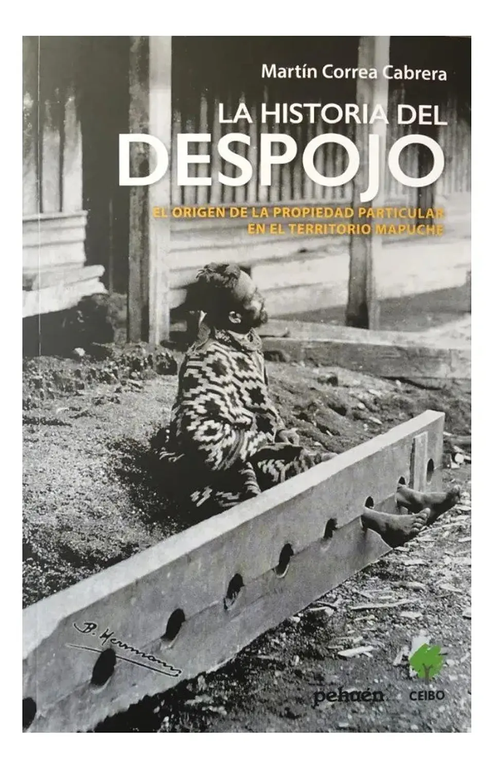 La Historia del Despojo - Martín Correa Cabrera 1