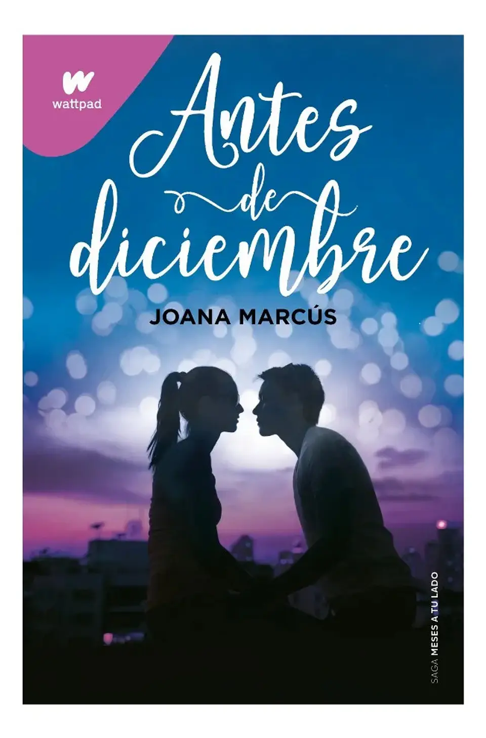 Antes de Diciembre - Joana Marcús 1