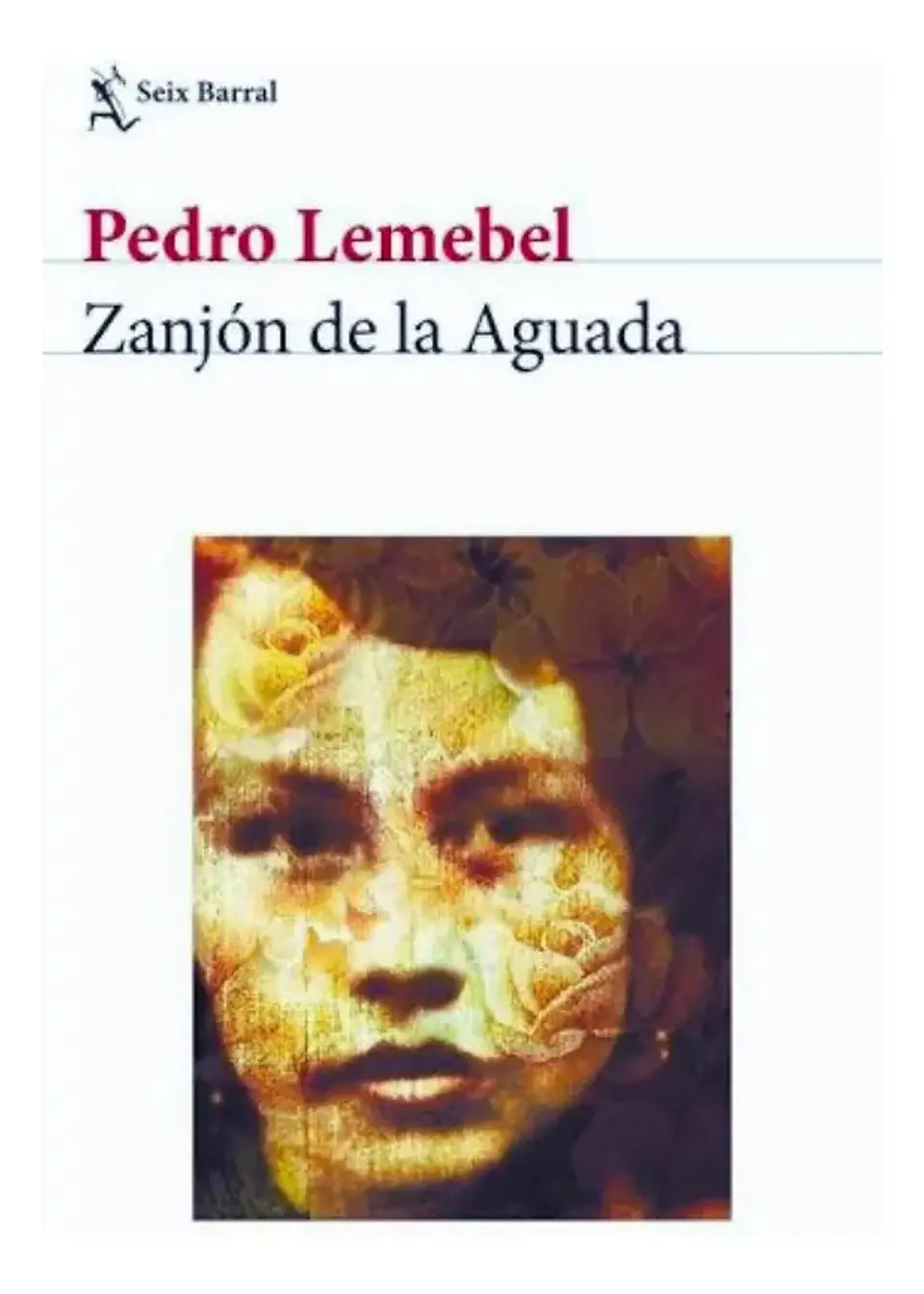 Zanjón de la Aguada - Pedro Lemebel 1