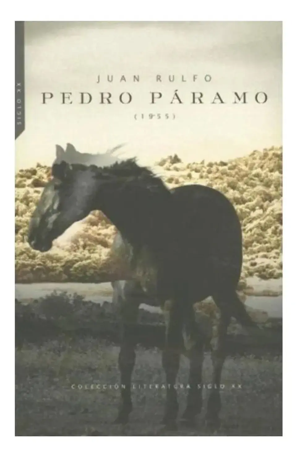 Pedro Páramo - Juan Rulfo 1