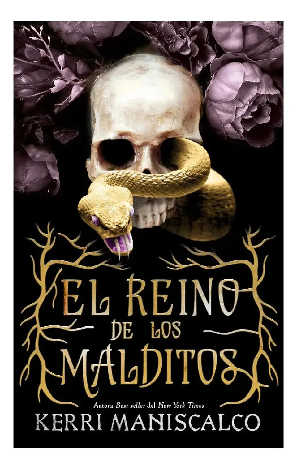 El Reino de los Malditos / Kerri Maniscalco 1