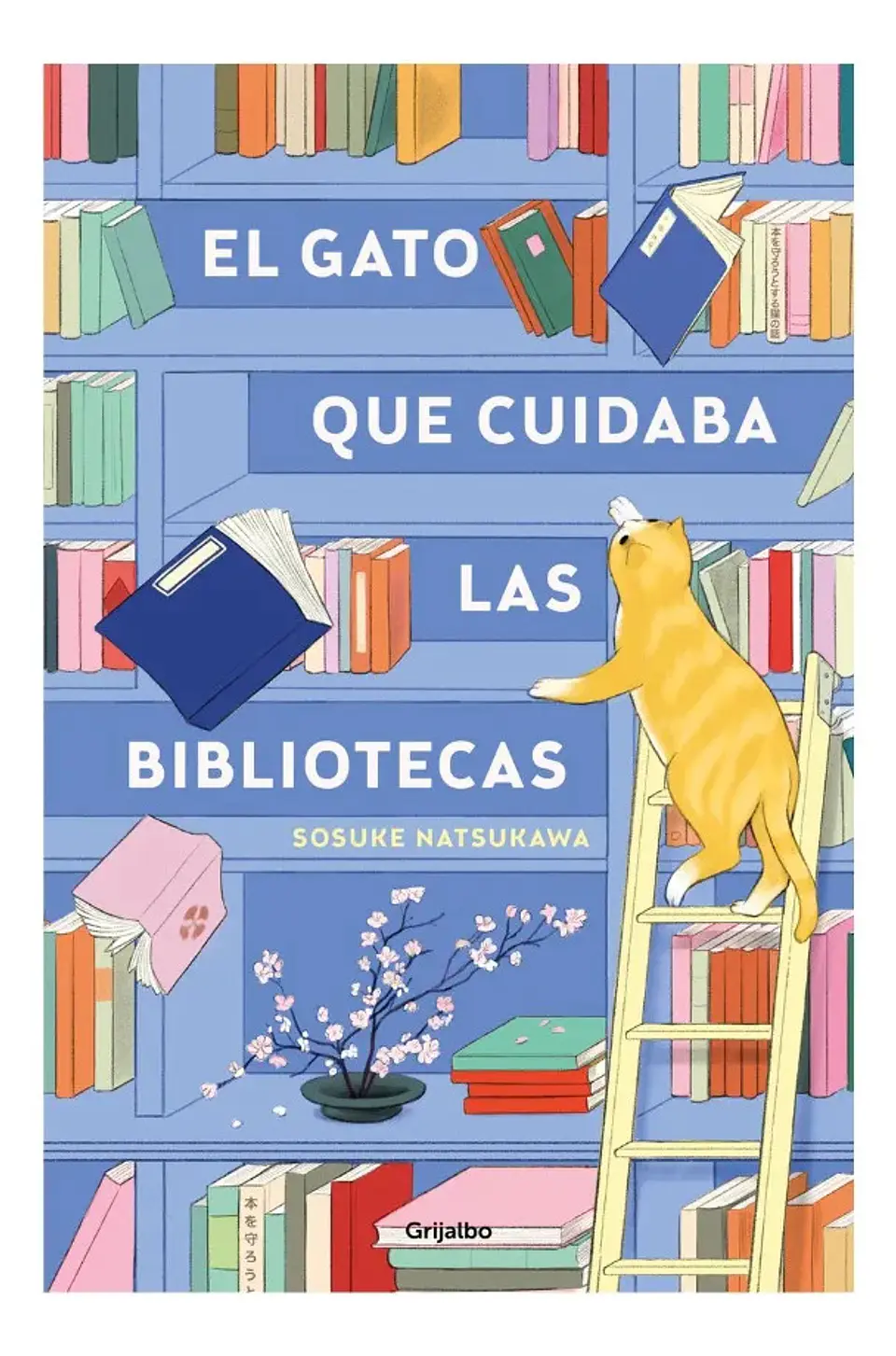 El Gato Que Cuidaba las Bibliotecas - Sosuke Natsukawa 1
