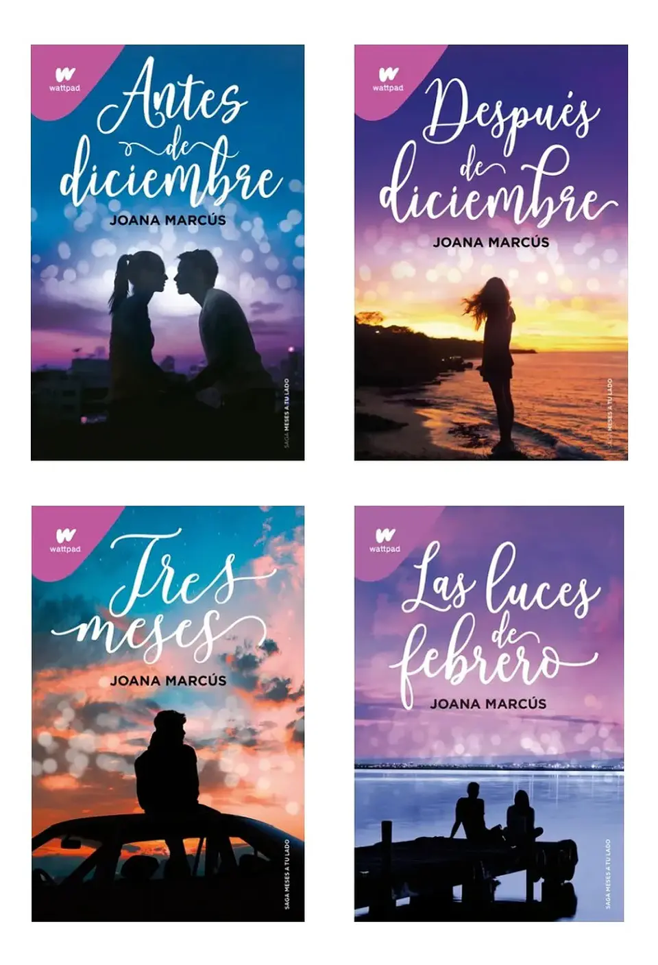 Saga Meses a Tu Lado - Joana Marcús 1