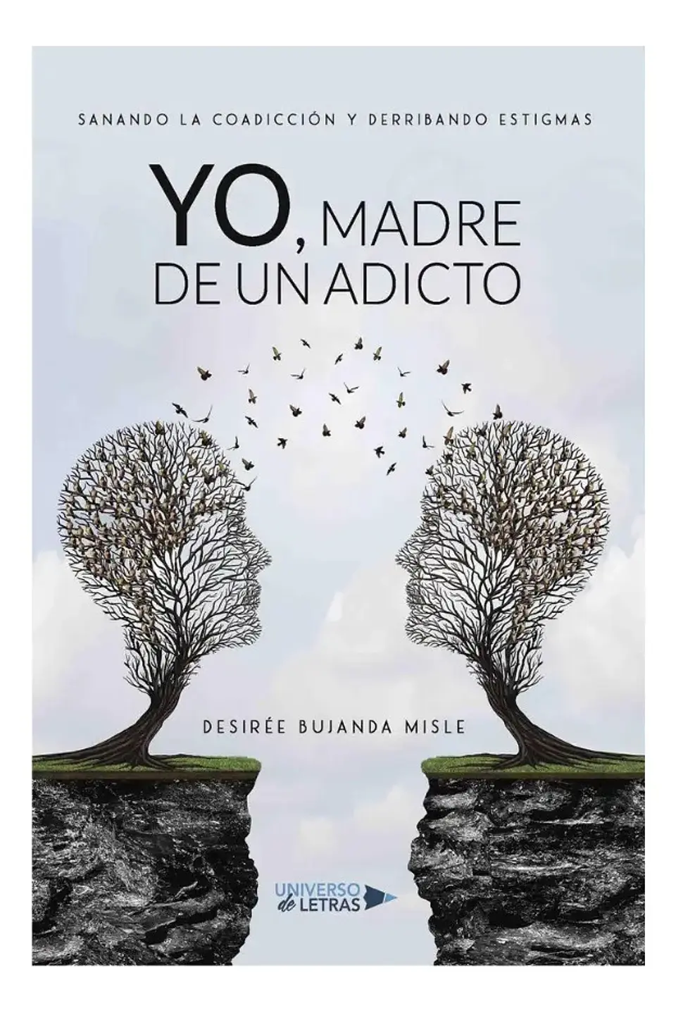 Yo, Madre de un Adicto - Desirée Bujanda Misle 1