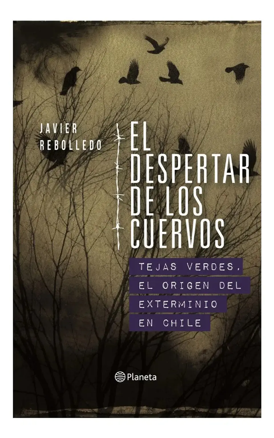 El Despertar de los Cuervos - Javier Rebolledo 1