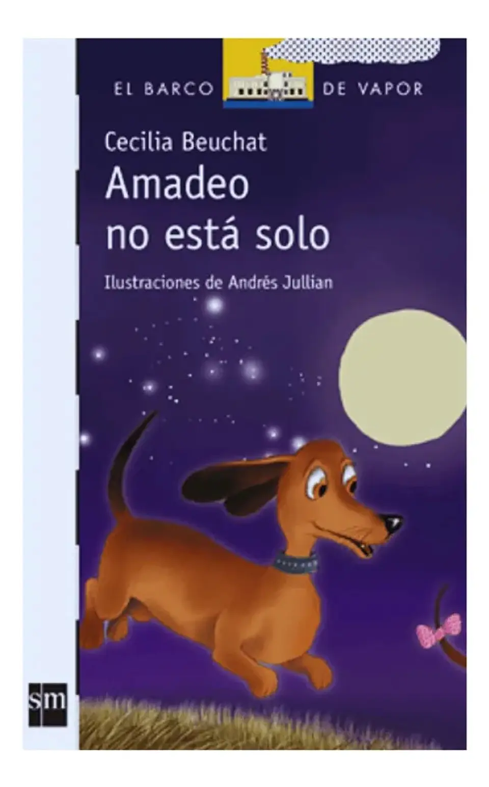 Amadeo No Está Solo - Cecilia Beauchat 1