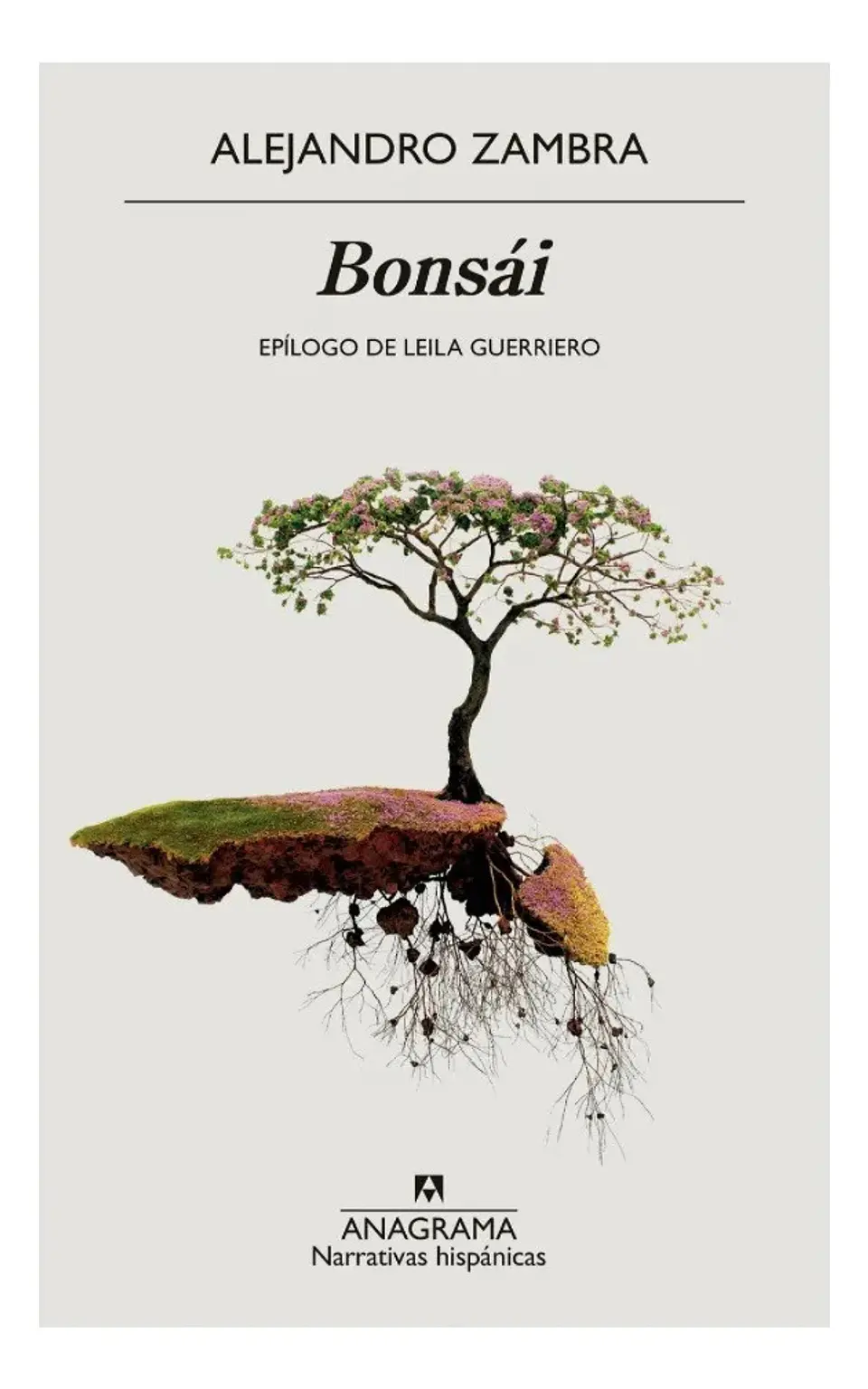 Bonsái - Alejandro Zambra 1