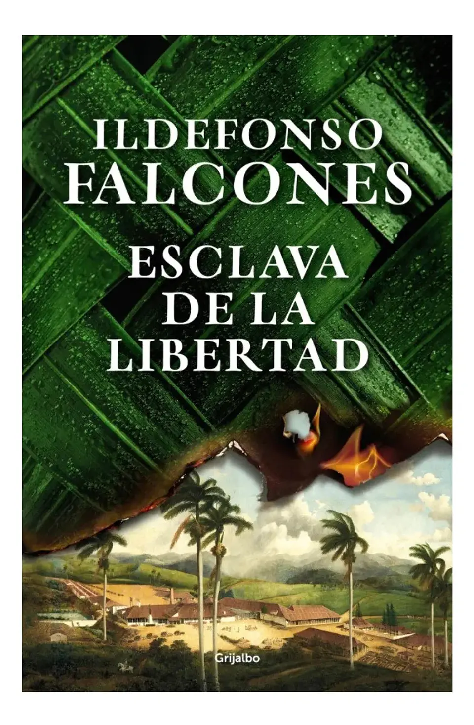Esclava de la Libertad - Ildefonso Falcones 1