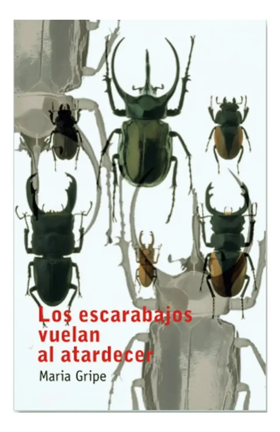 Los Escarabajos Vuelan al Atardecer - María Gripe 1
