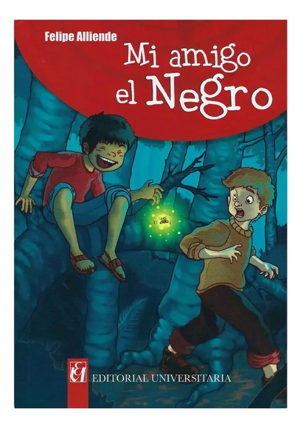 Mi Amigo el Negro - Felipe Alliende 1