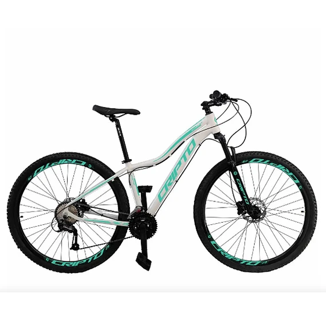 Bicicleta Aro 29 21 Marchas Freio Disco c/ Suspensão 3
