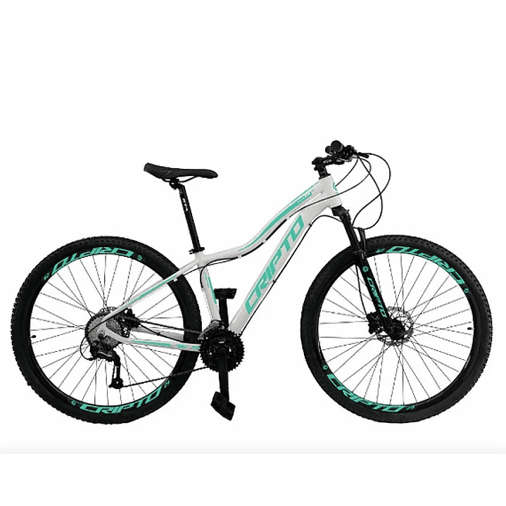 Bicicleta Aro 29 21 Marchas Freio Disco c/ Suspensão 3