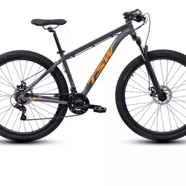 Mountain bike TSW Mountain Bike Ride 2021 aro 29 L-19
