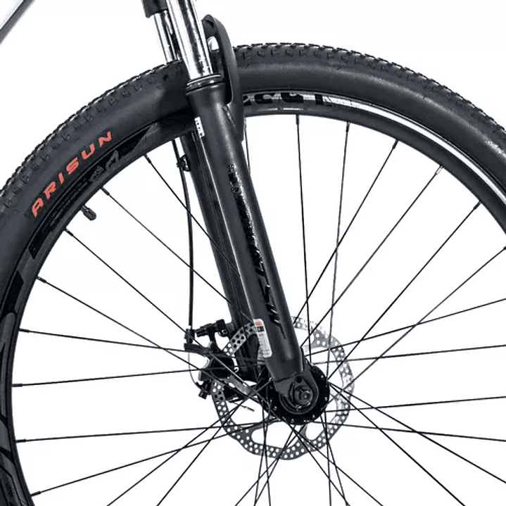 Mountain bike TSW Mountain Bike Ride 2021 aro 29 L-19