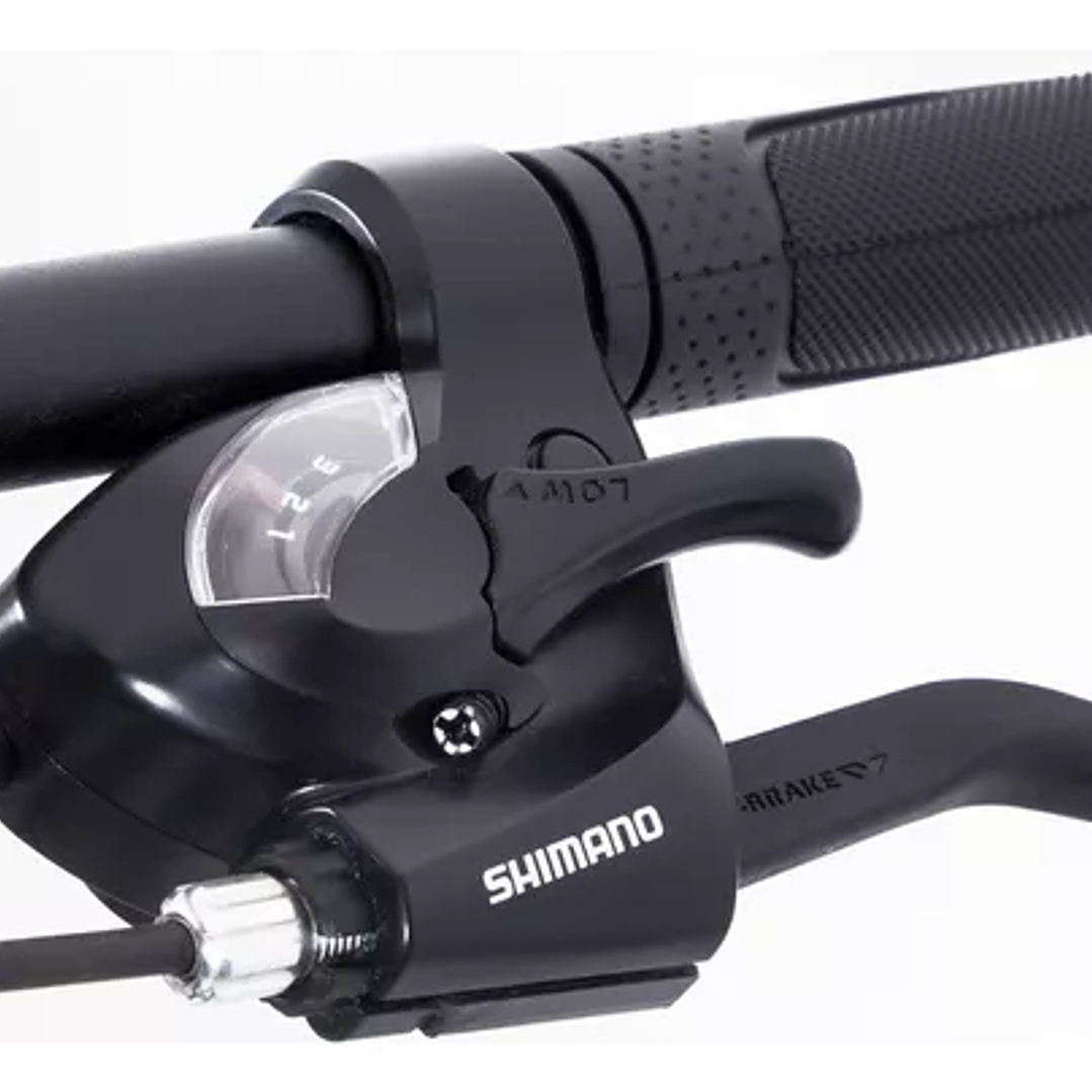 Mountain bike TSW Mountain Bike Ride 2021 aro 29 L-19