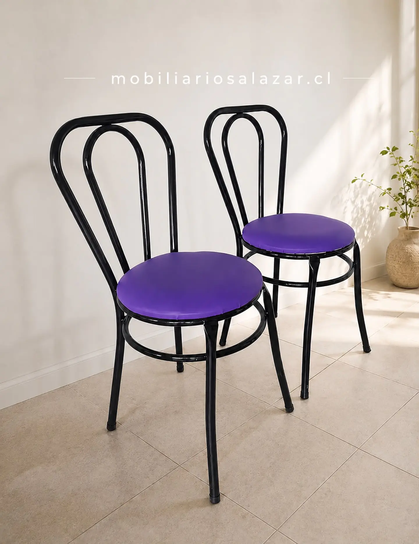 Silla modelo viena 3