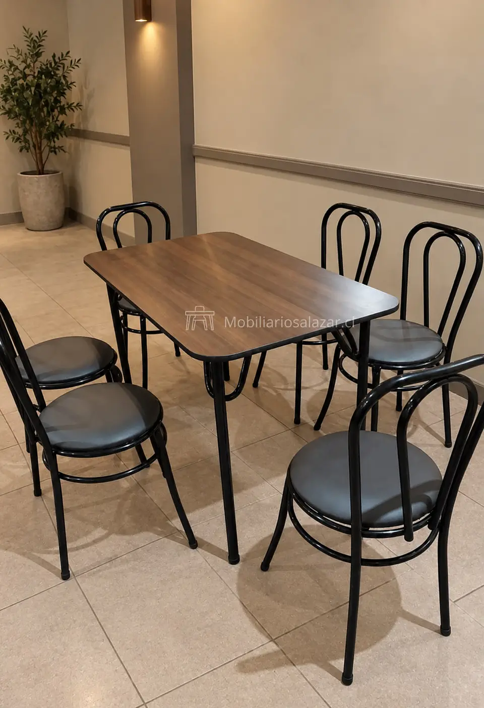 Juego de mesa 120 x 70 cm. + 6 sillas 1