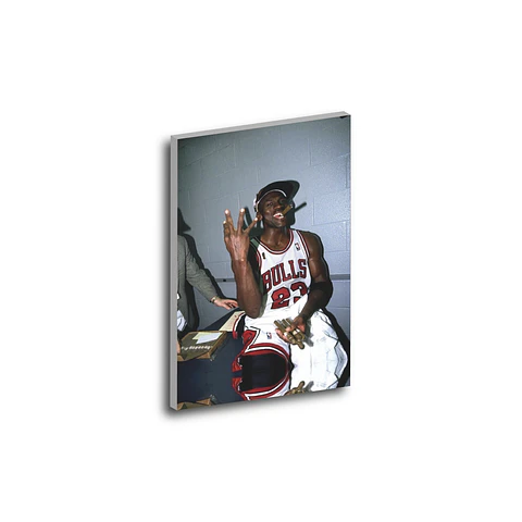 Cuadro Jordan Bulls 23