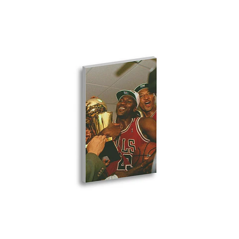 Cuadro Jordan Bulls 23 Red