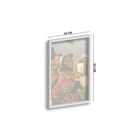 Cuadro Jordan Bulls 23 Red