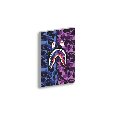 Cuadro Sprayground camo Bape Bicolor 