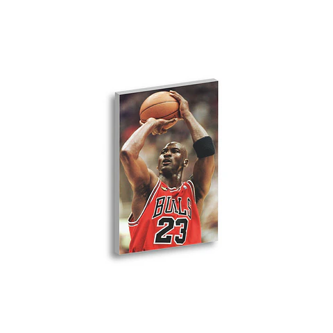 Cuadro Jordan Lanzando 