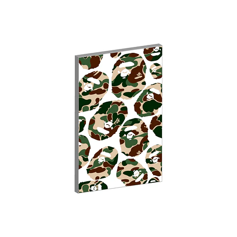 Cuadro Bape Logo 