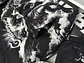 Mixed Emotion ‘Cloud’ Puffer Jacket  - Miniatura 4
