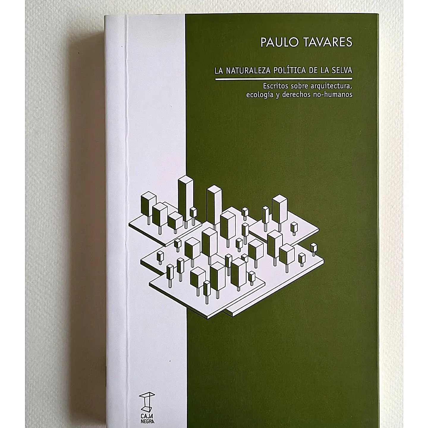 La naturaleza política de la selva (Paulo Tavares) 1