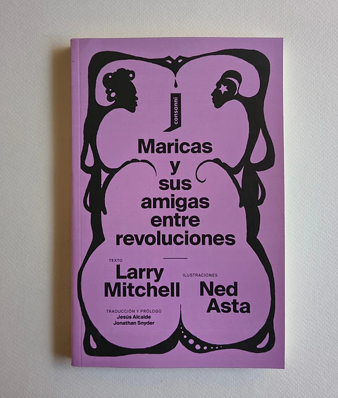 Maricas y sus amigas entre revoluciones — Larry Mitchell y Ned Asta