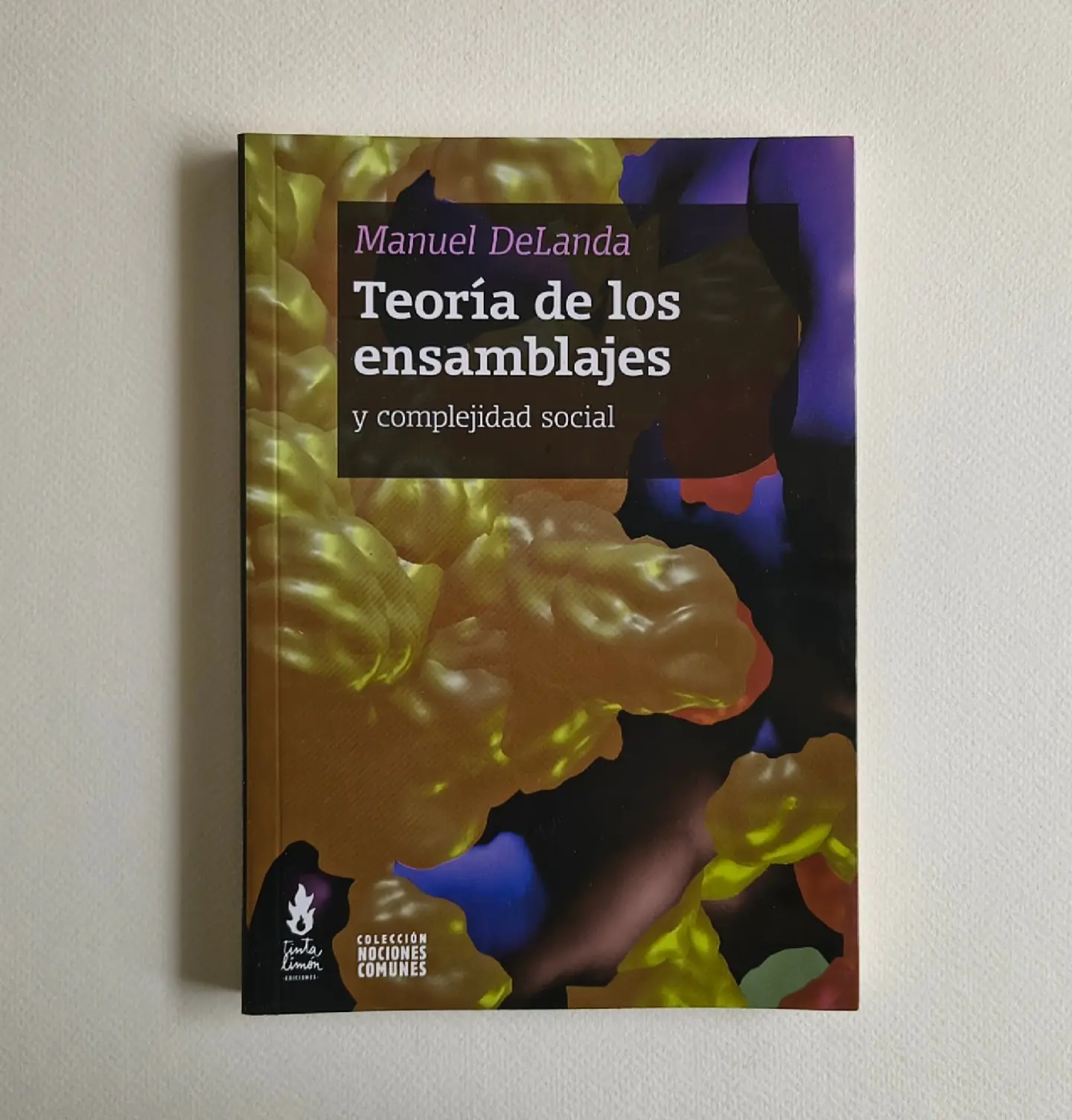 Teoría de los ensamblajes y complejidad social — Manuel DeLanda 1