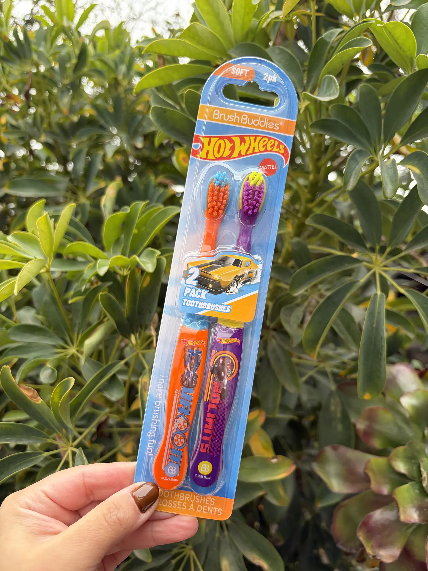 Pack Cepillo de dientes Hotwheels 1