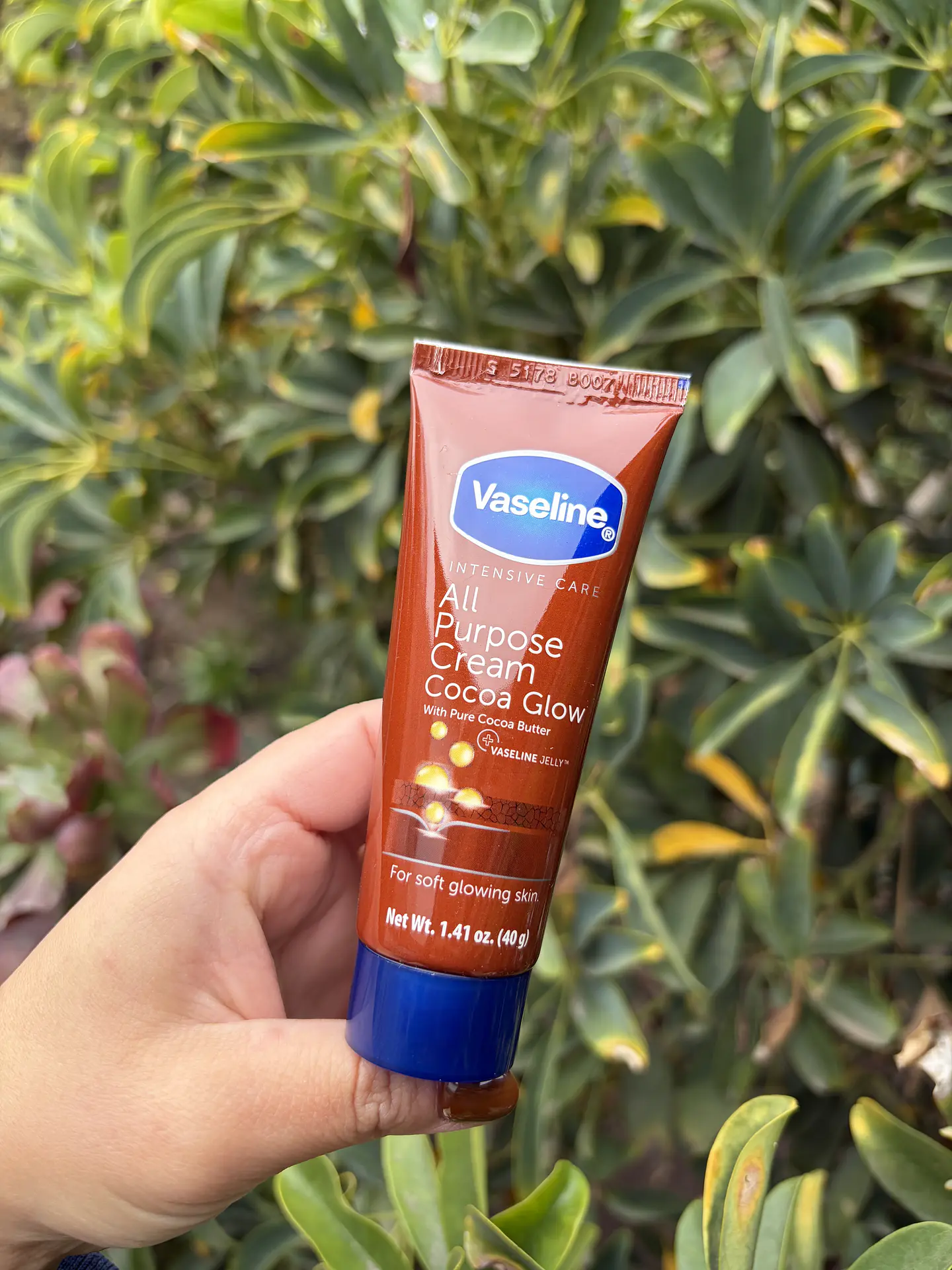 Crema Cocoa Glow 1