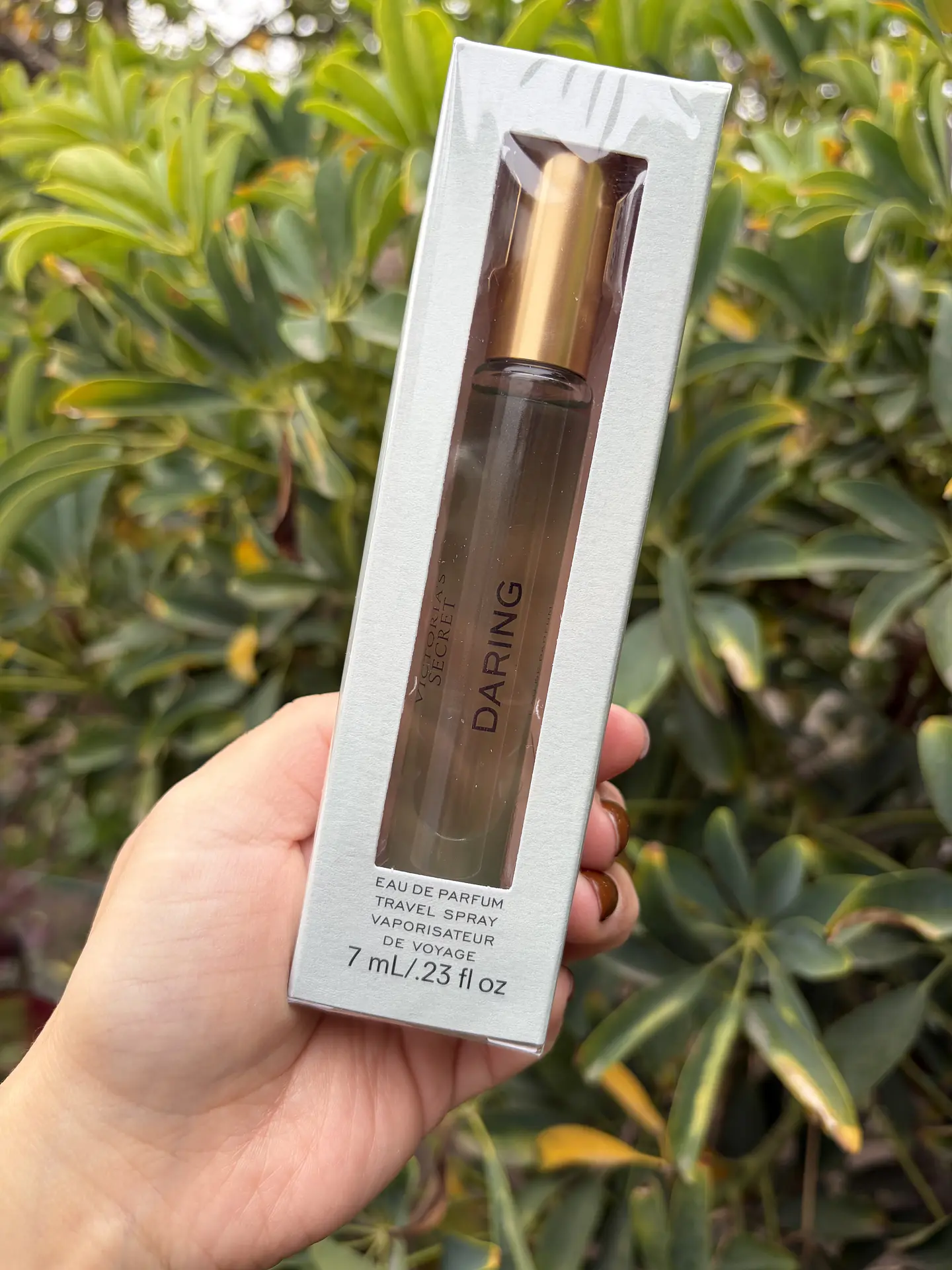 Perfume Travel Dairing 1