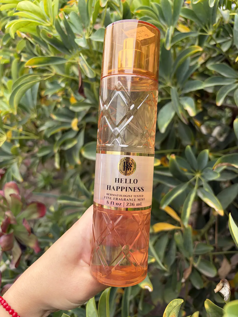 Body Mist BBW  1