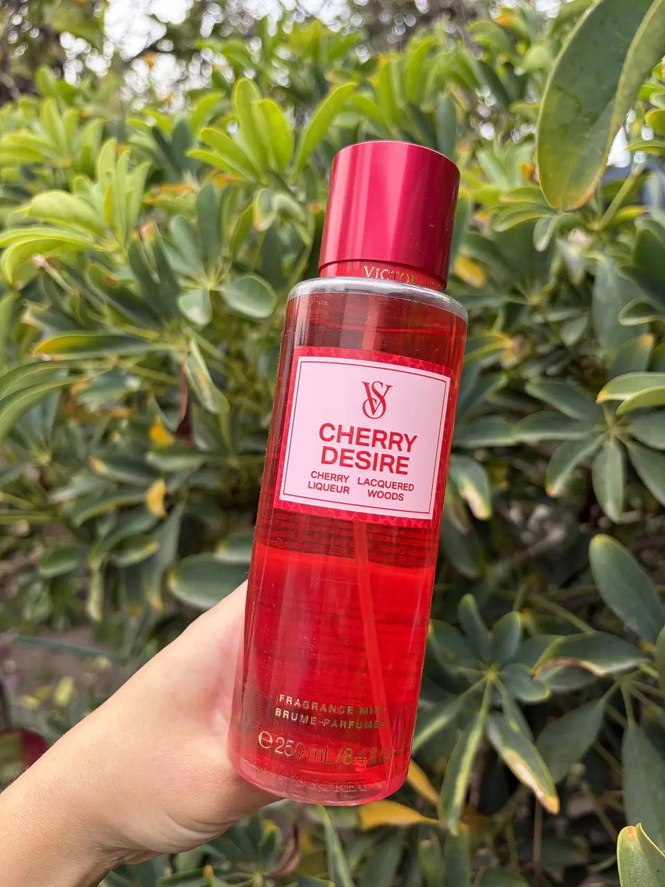 Splash Victoria´s Secret Cherry Desire 1
