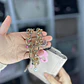 Billetera Juicy Couture Beige  - Miniatura 5