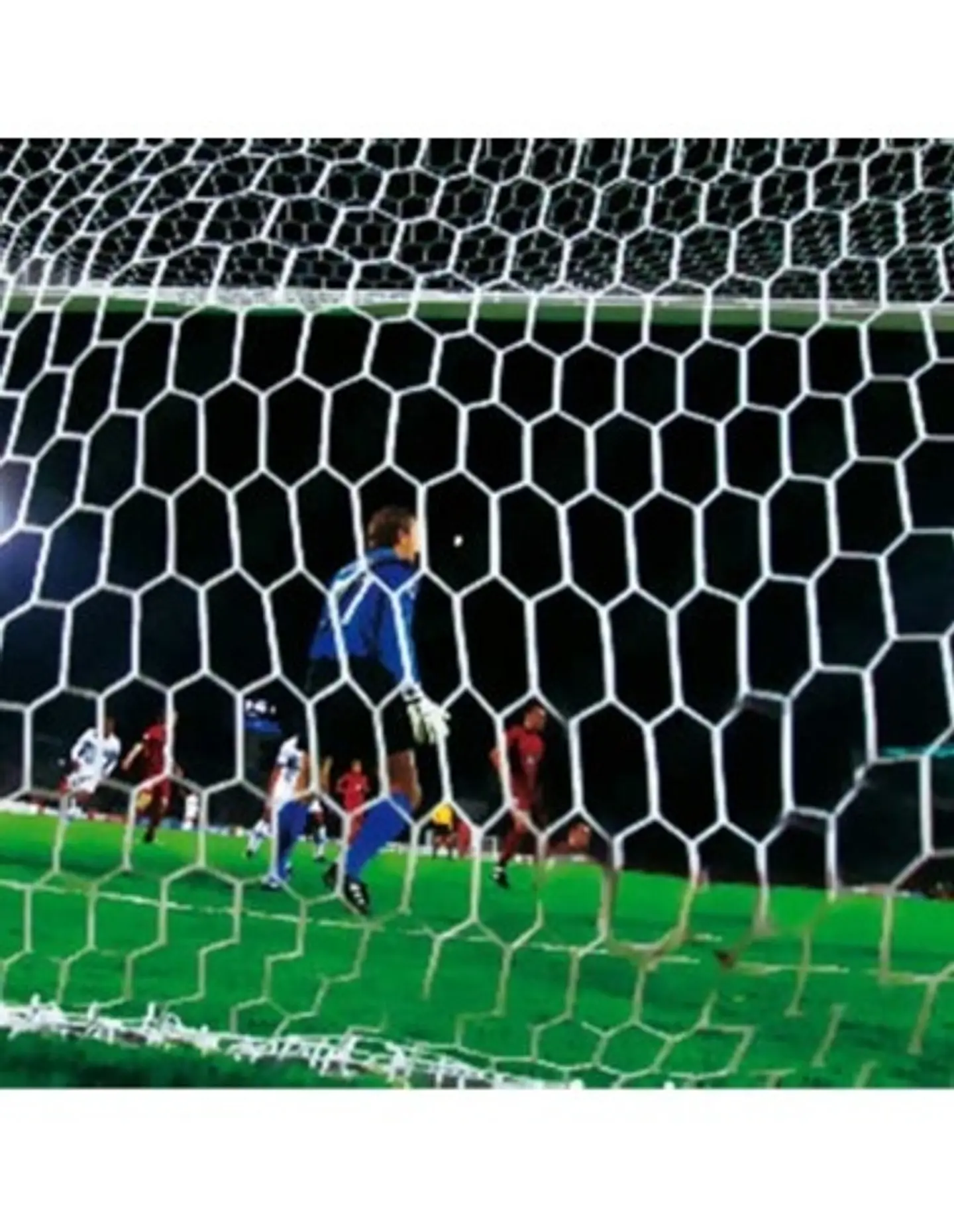 Red de Arco de Futbol Profesional 4