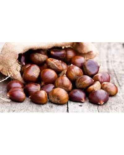 Esencias cosméticas aromas