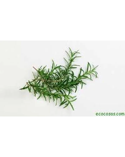 Esencias cosméticas aromas
